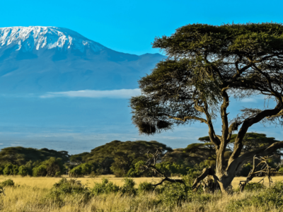 jumbo-kenya
